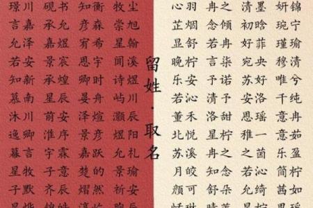 创意萌名字精选 赋予孩子独特魅力