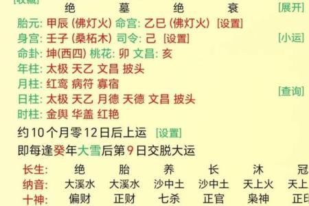 癸未命的特点与命理解析
