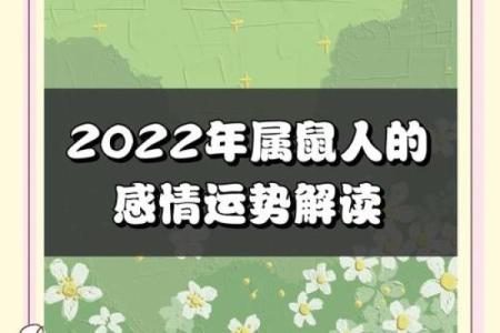 属鼠，运势与人生的独特轨迹