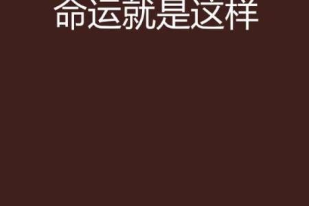 最好的命运是什么样的感觉