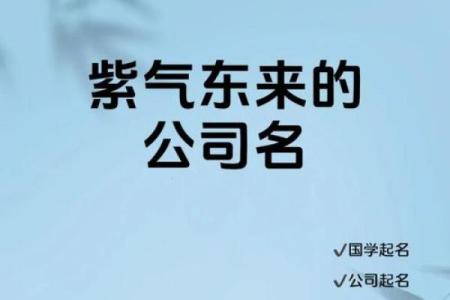 打破常规 创造独特的公司名称灵感