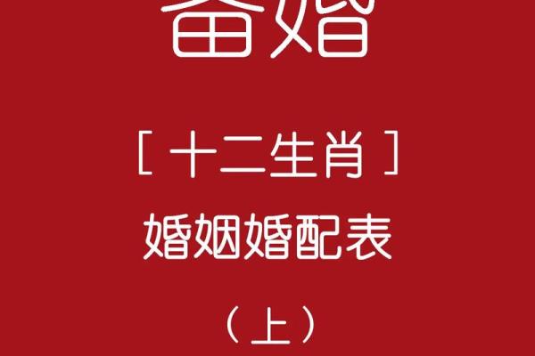 探索十二生肖最匹配的爱情组合 探索十二生肖最匹配的爱情组合