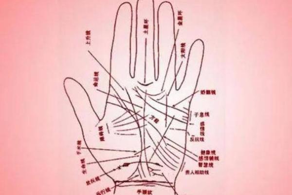 了解富贵命的手掌线条和标志 了解富贵命的手掌线条和标志
