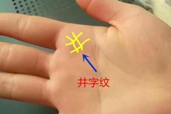 了解富贵命的手掌线条和标志 了解富贵命的手掌线条和标志