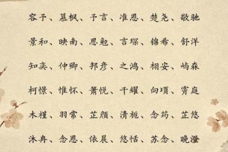 十月出生男孩名字推荐与寓意解析