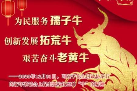 牛年带来坚实步伐与奋进动力