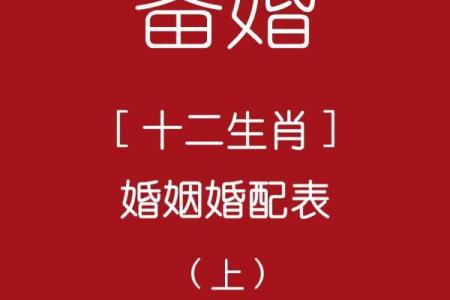 探索十二生肖最匹配的爱情组合