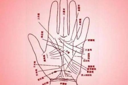 了解富贵命的手掌线条和标志