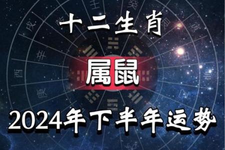 属鼠的命运如何，解析其一生运势
