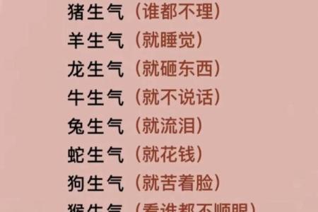 生肖属相与个人命运的深度关系分析