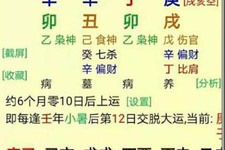 从强格命格分析：富贵人生的命理特征