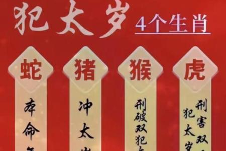 犯太岁生肖运程详解及注意事项