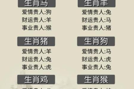 肖排序表及其背后的文化意义解析