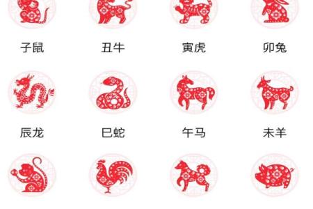 十二生肖排行大解析：哪些生肖运势最强？