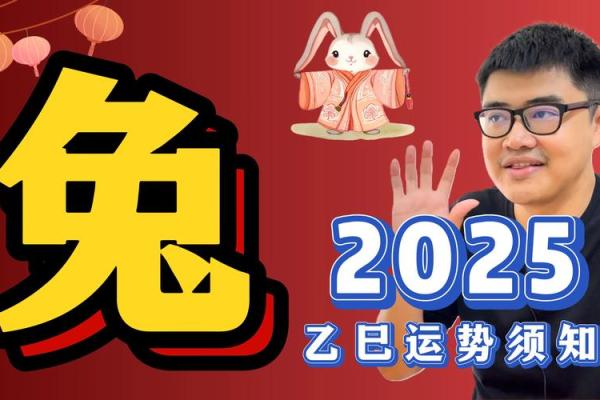 兔子运势大揭秘:未来一段时间的幸运与风险 兔子运势大揭秘:未来一段时间的幸运与风险