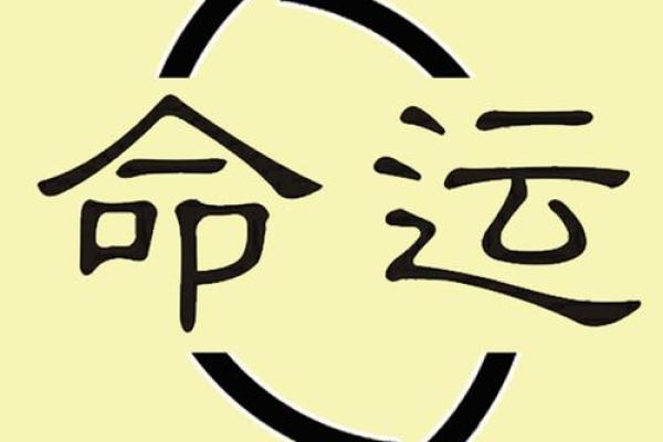 如何通过双凤朝阳命了解你的命运轨迹 如何通过双凤朝阳命了解你的命运轨迹