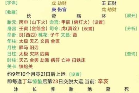 贵命背后的命理密码揭秘