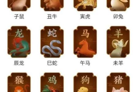 属什么生肖 生肖特点和运势分析