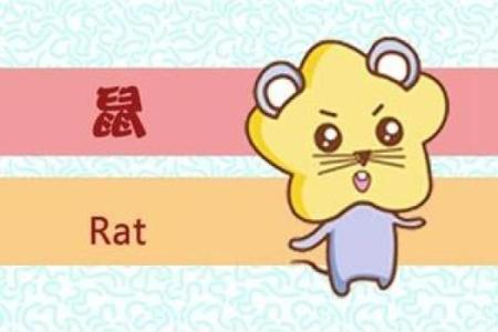 如何通过双凤朝阳命了解你的命运轨迹