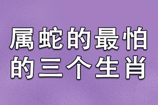 蛇蛇相配 爱情与婚姻的相生相克 蛇蛇相配 爱情与婚姻的相生相克