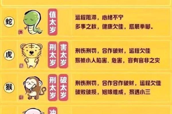 肖的排列顺序及其背后的文化意义解析