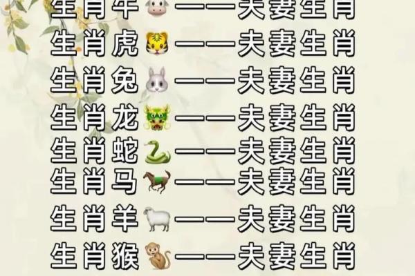 出生的人与哪些生肖最相配