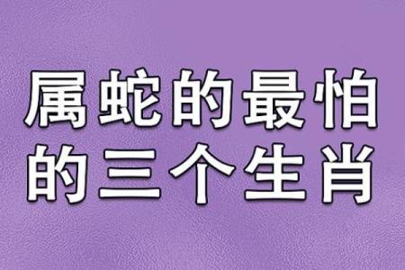 蛇蛇相配 爱情与婚姻的相生相克
