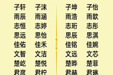 宝宝店起名灵感 适合各类主题的创意名字