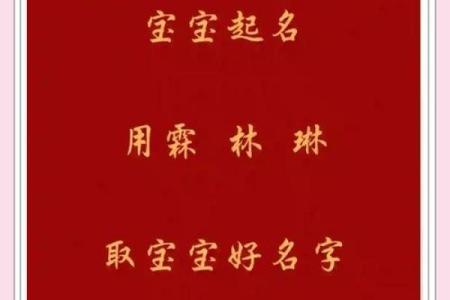 带琳字的女孩名字精选与寓意解析