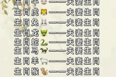 出生的人与哪些生肖最相配
