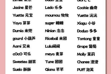 鸡宝宝名字大全，寓意聪明机智的名字推荐