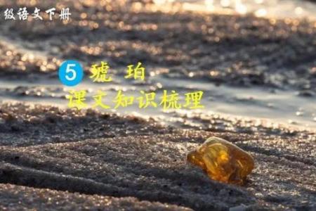 从琥珀到名字：Amber在不同文化中的象征意义