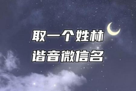 如何为女孩起一个带琳字的名字