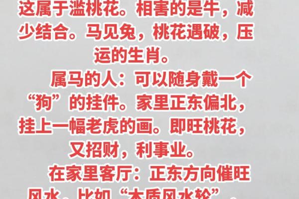 马与小龙相配的命理分析与运势解析