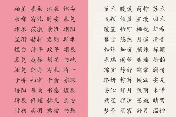 给小宝宝起名字的创意大全与参考指南 给小宝宝起名字的创意大全与参考指南