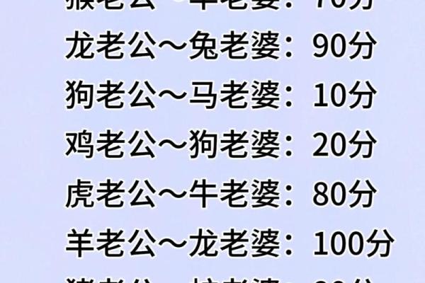 了解肖婚姻配对，找到你的最佳伴侣