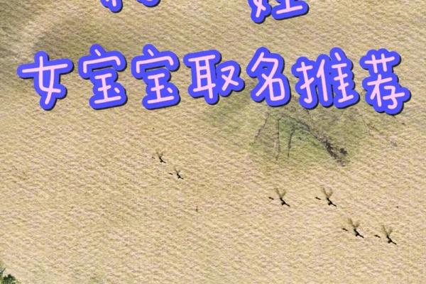 出生姓杨的宝宝起名参考与建议 出生姓杨的宝宝起名参考与建议
