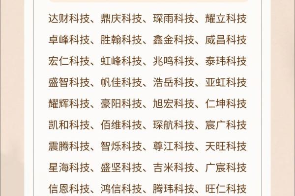 高效命名解决方案，选择公司名字起名软件