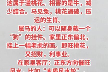 马与小龙相配的命理分析与运势解析