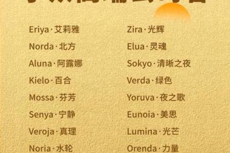 如何为服装厂选择一个独特且吸引人的名字