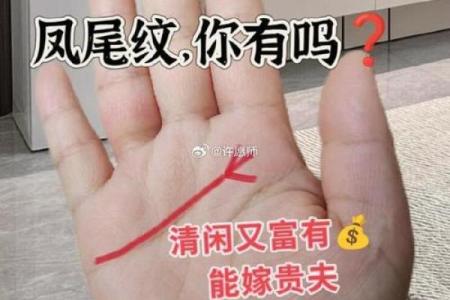 哪种手掌形状象征着富贵人生