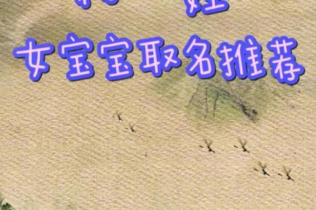 出生姓杨的宝宝起名参考与建议