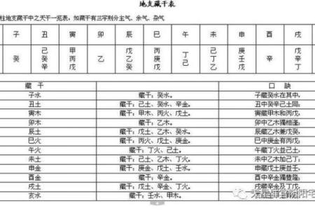 从命理角度看龙蛇配对：婚姻幸福的关键