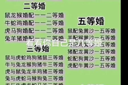 羊与虎的性格配对分析