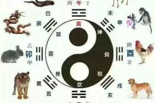 属羊和属狗的缘分:为何这对组合常常和谐美满 属羊和属狗的缘分:为何这对组合常常和谐美满