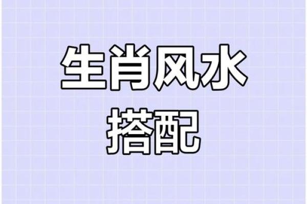 属相与居住环境：选择适合自己生肖的家居风水