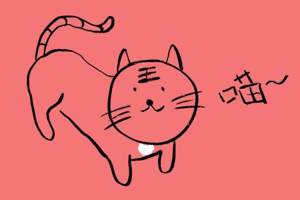 如何让虎与那样相配更具吸引力
