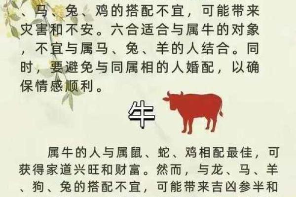 虎与其他生肖的最佳配对分析
