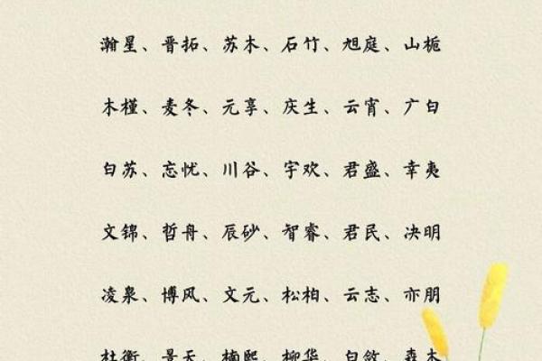 柏起名公司揭秘如何为孩子取个好名字