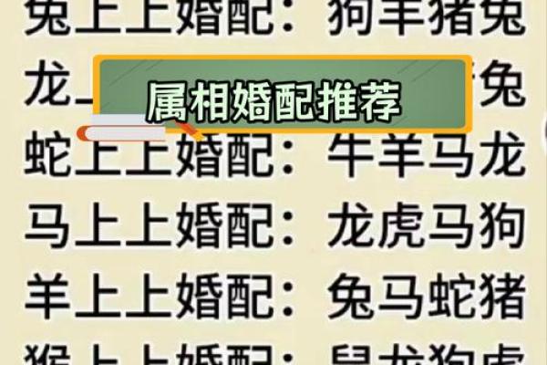 羊的婚姻配对指南：哪个生肖最合适